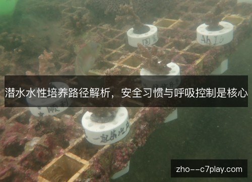 潜水水性培养路径解析,安全习惯与呼吸控制是核心 潜水水性培养路径解析,安全习惯与呼吸控制是核心